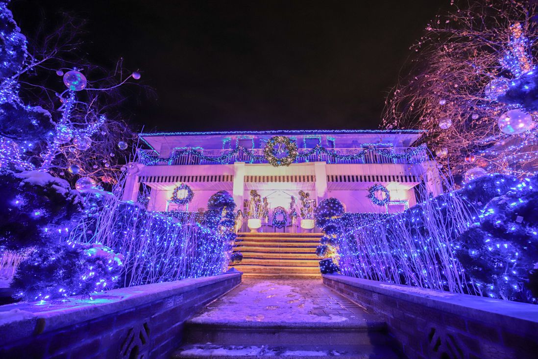 Dyker Heights holiday lights